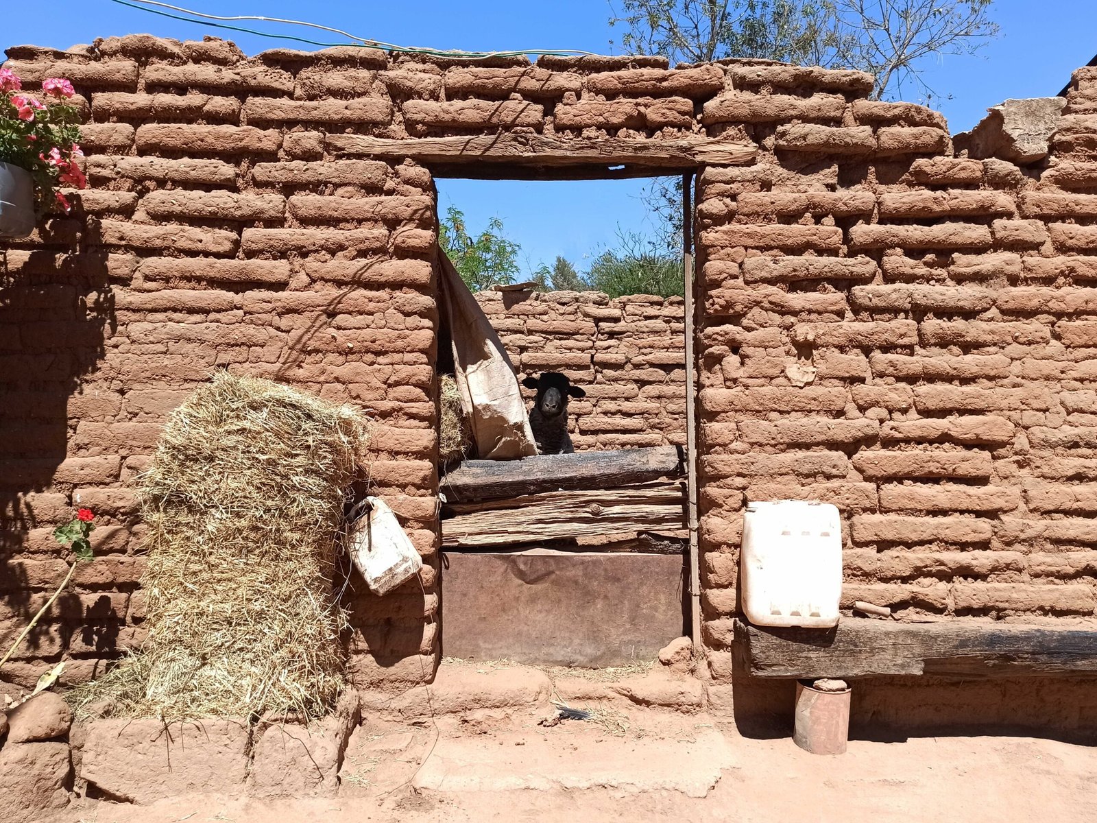 Natural Cooling and Passive Architecture (image credits: wikimedia)