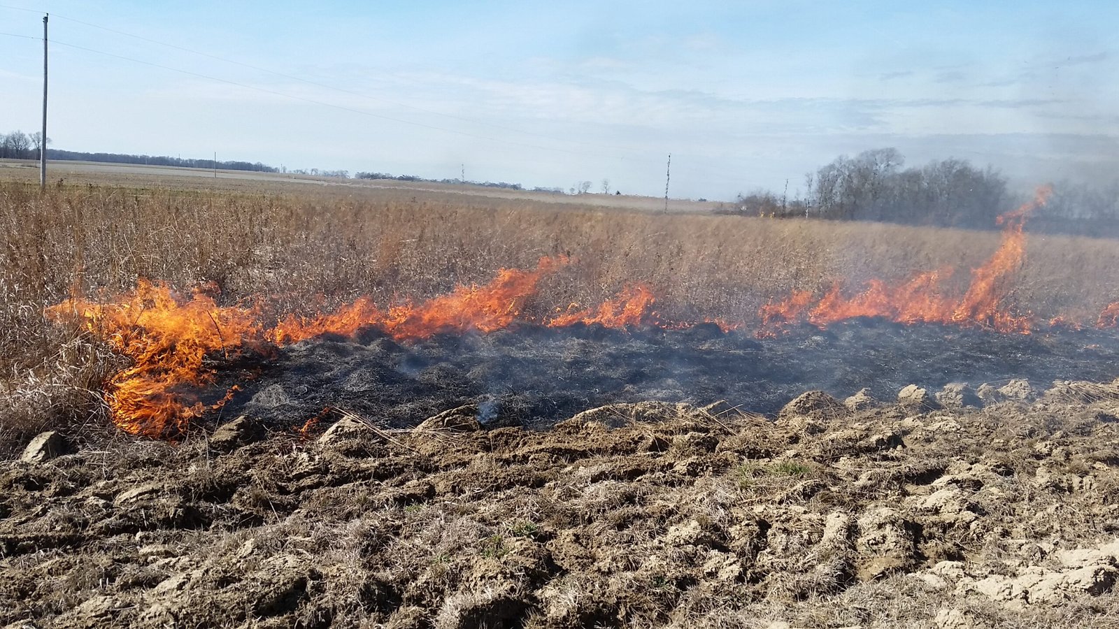 Indigenous Fire Management (image credits: wikimedia)