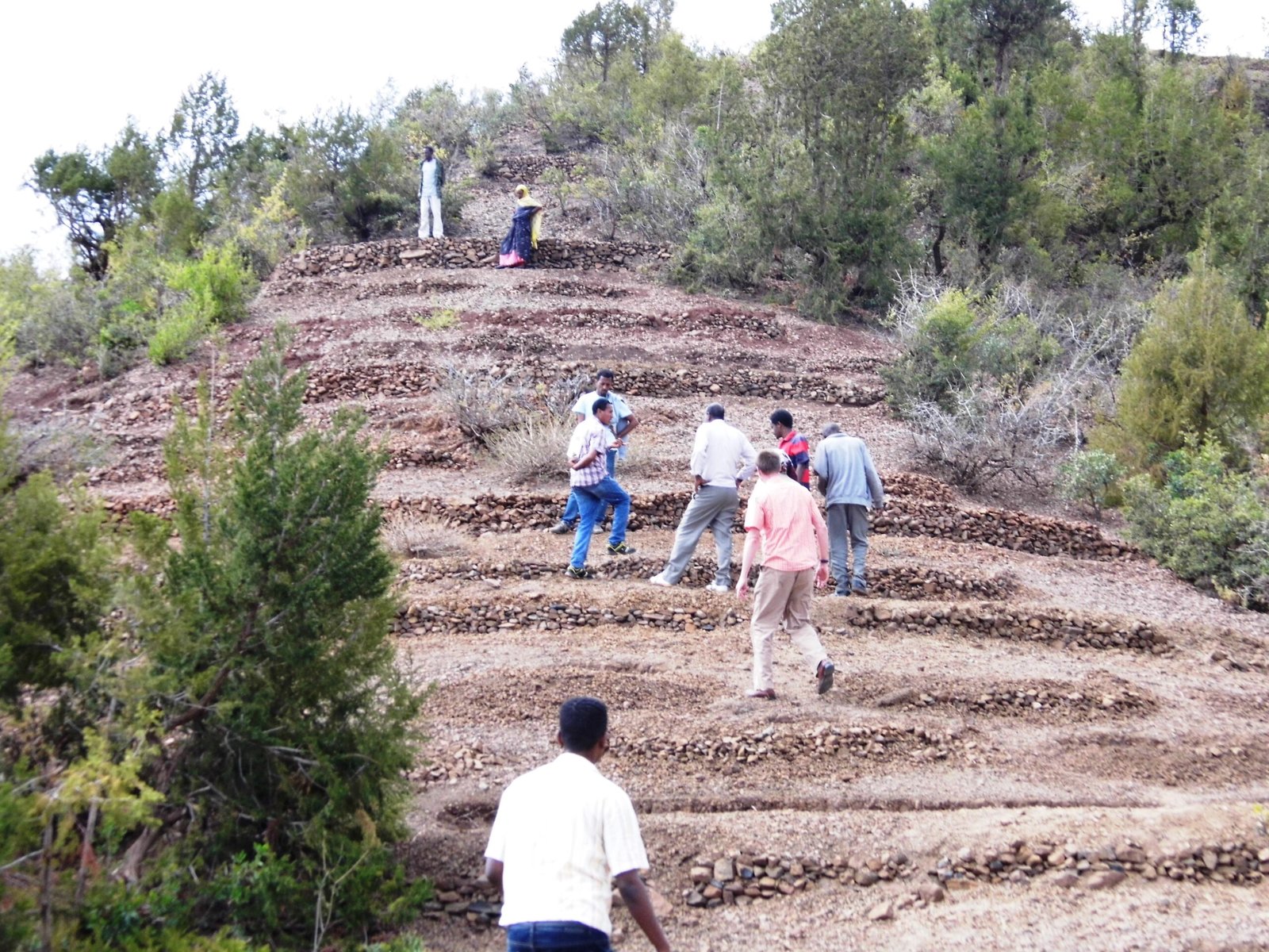 Resilience in the Face of Disaster (image credits: wikimedia)