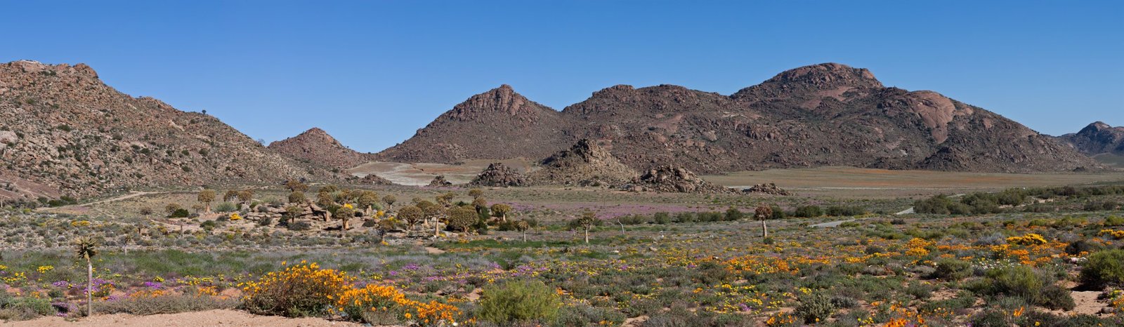 Seasonal Living: Aligning with Nature’s Rhythms (image credits: wikimedia)