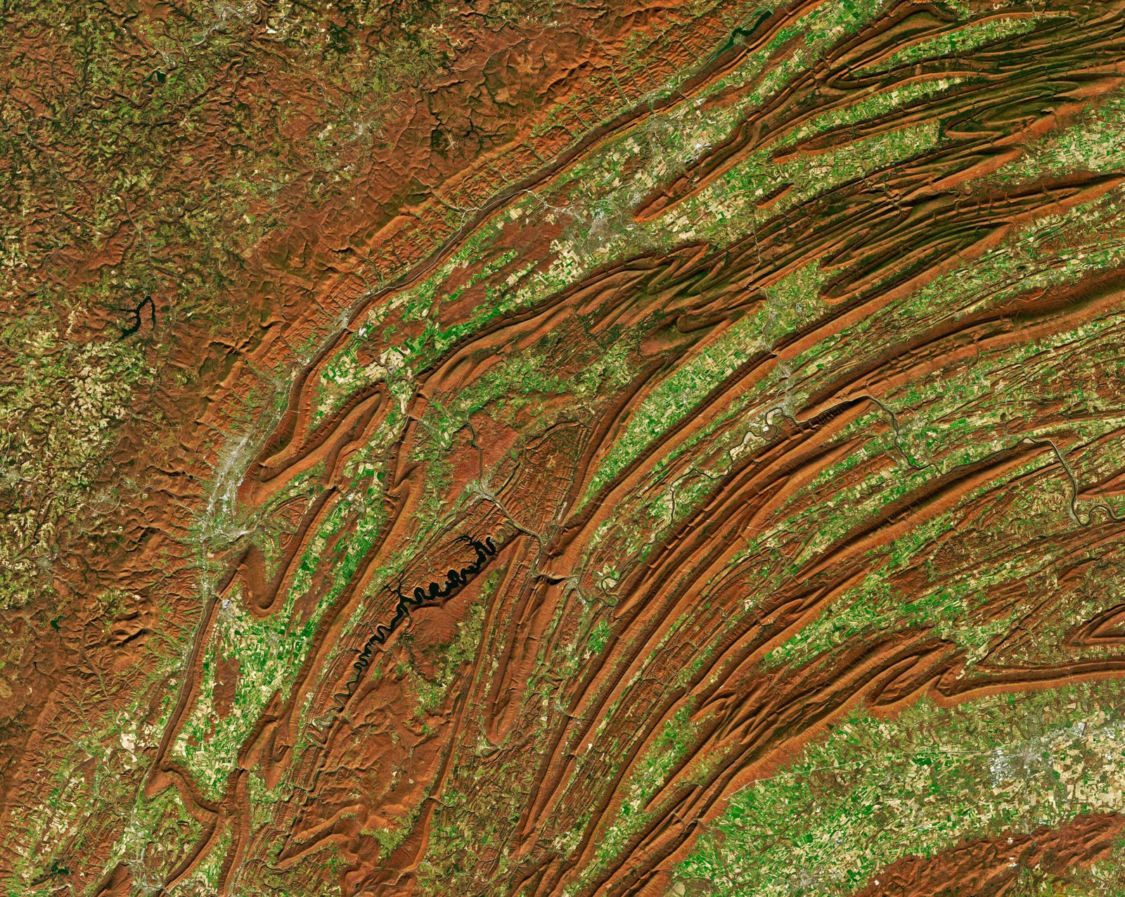 The Birth of the Andes: A Collision of Continents (image credits: wikimedia)