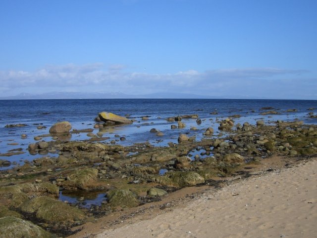 Tides and Life: How the Moon Shapes Earth’s Ecosystems (image credits: wikimedia)