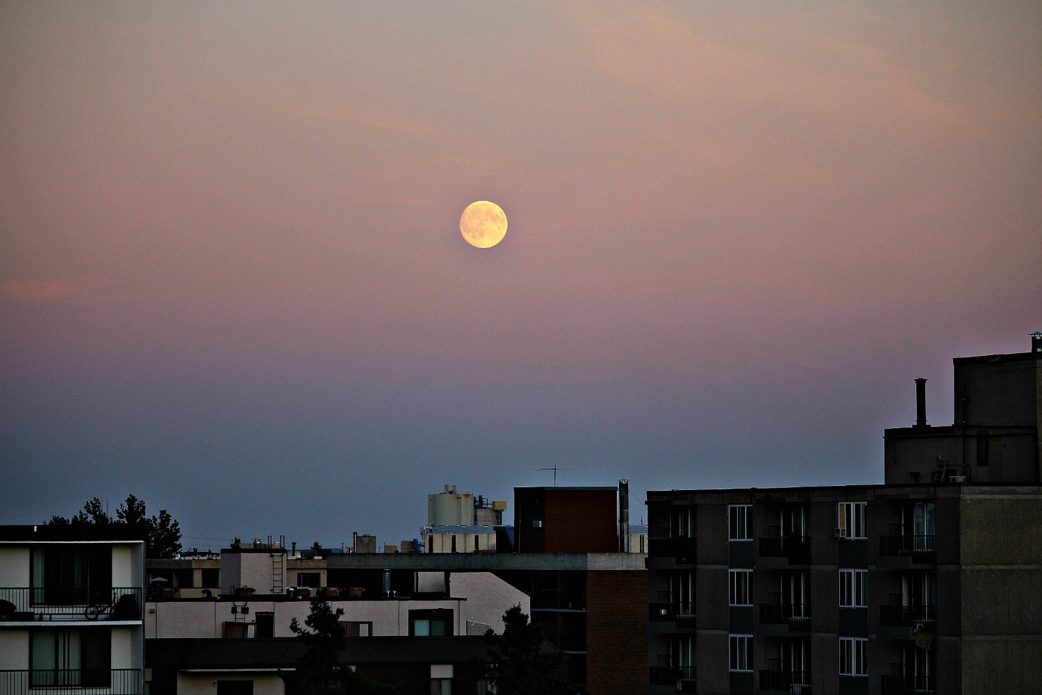What the Moon’s Drift Teaches Us About Change (image credits: wikimedia)