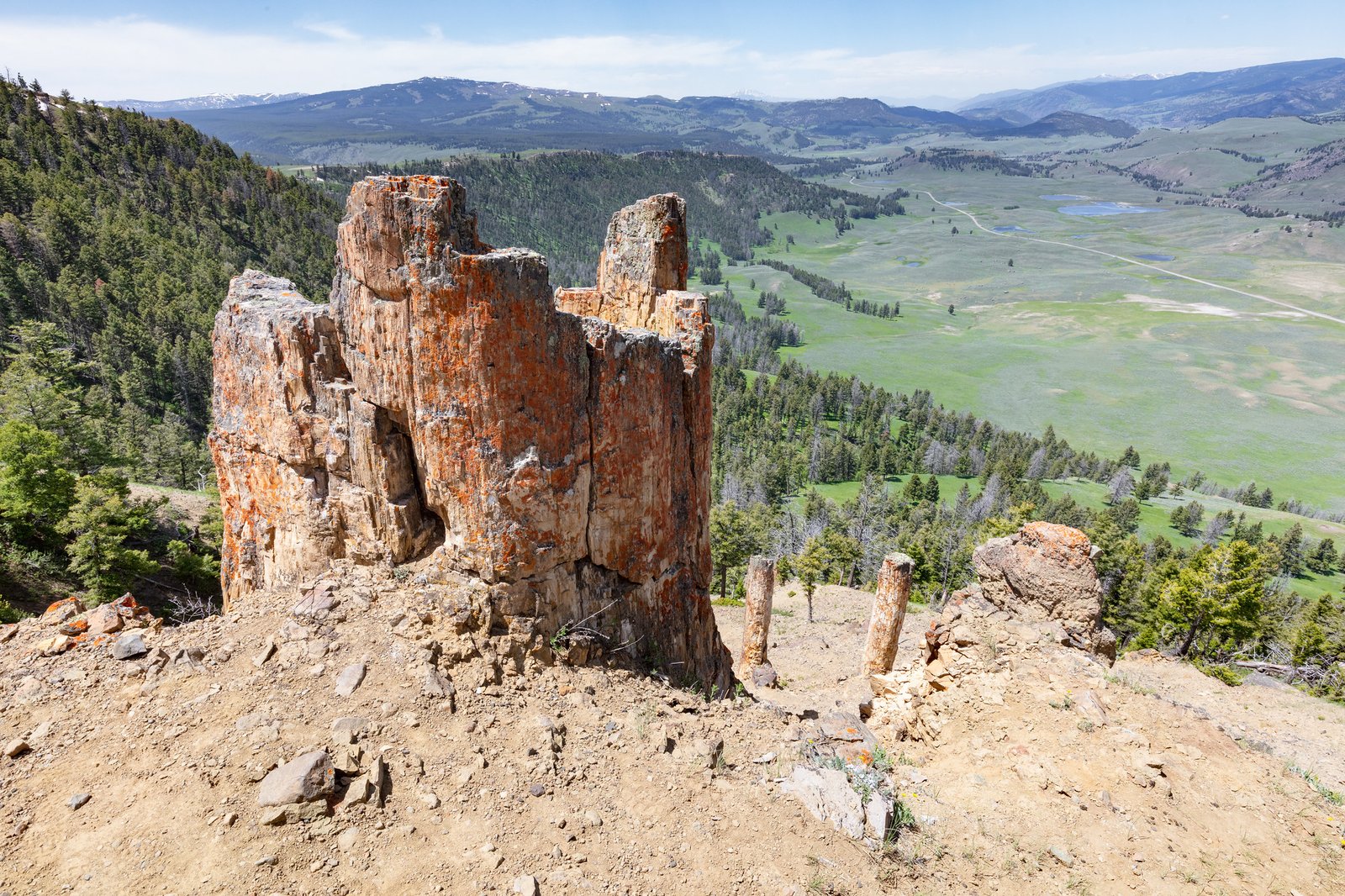 Fossilized Forests: The Story of Yellowstone (image credits: wikimedia)
