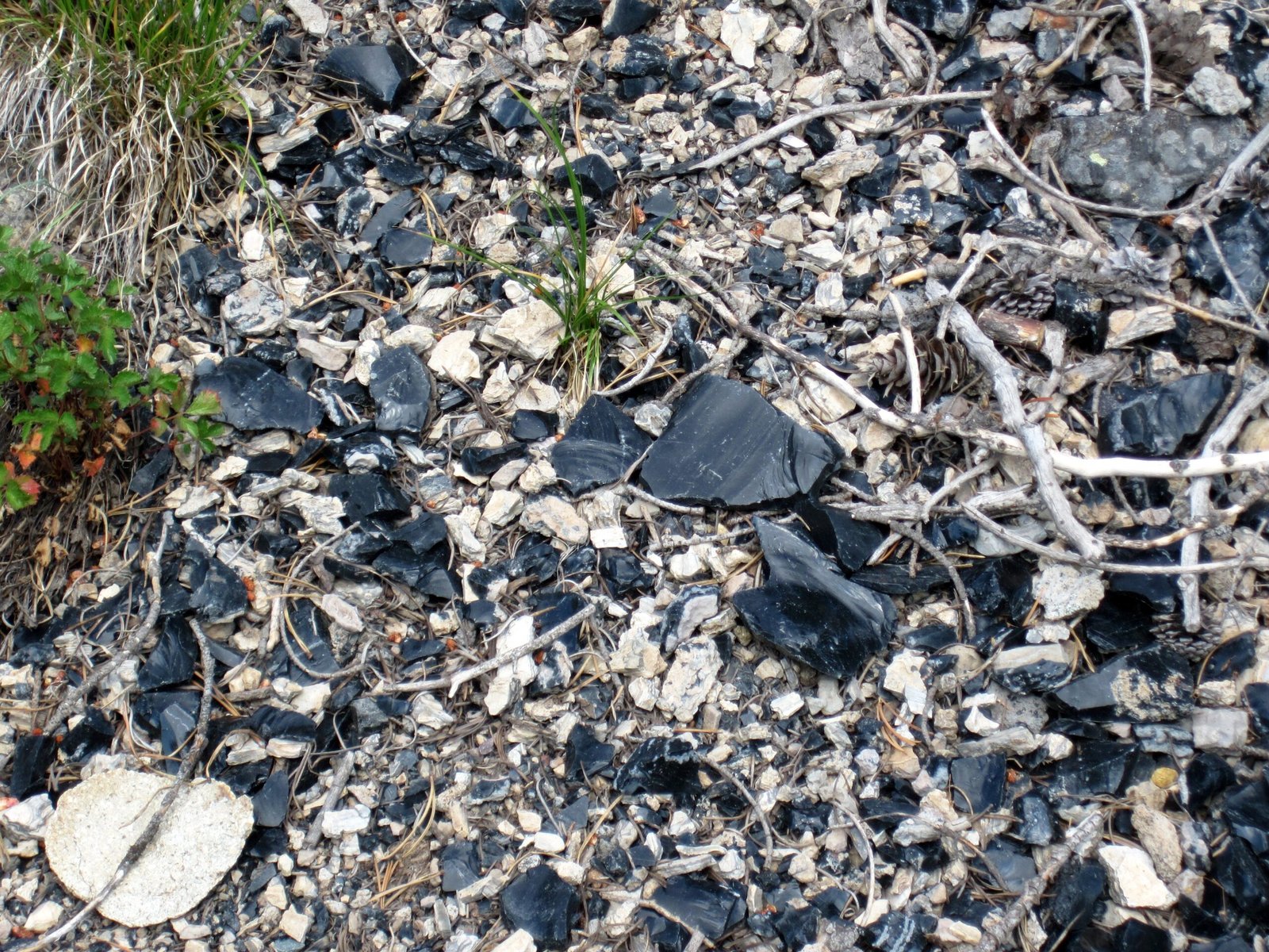 Volcanic Glass: Trapping the Past (image credits: wikimedia)