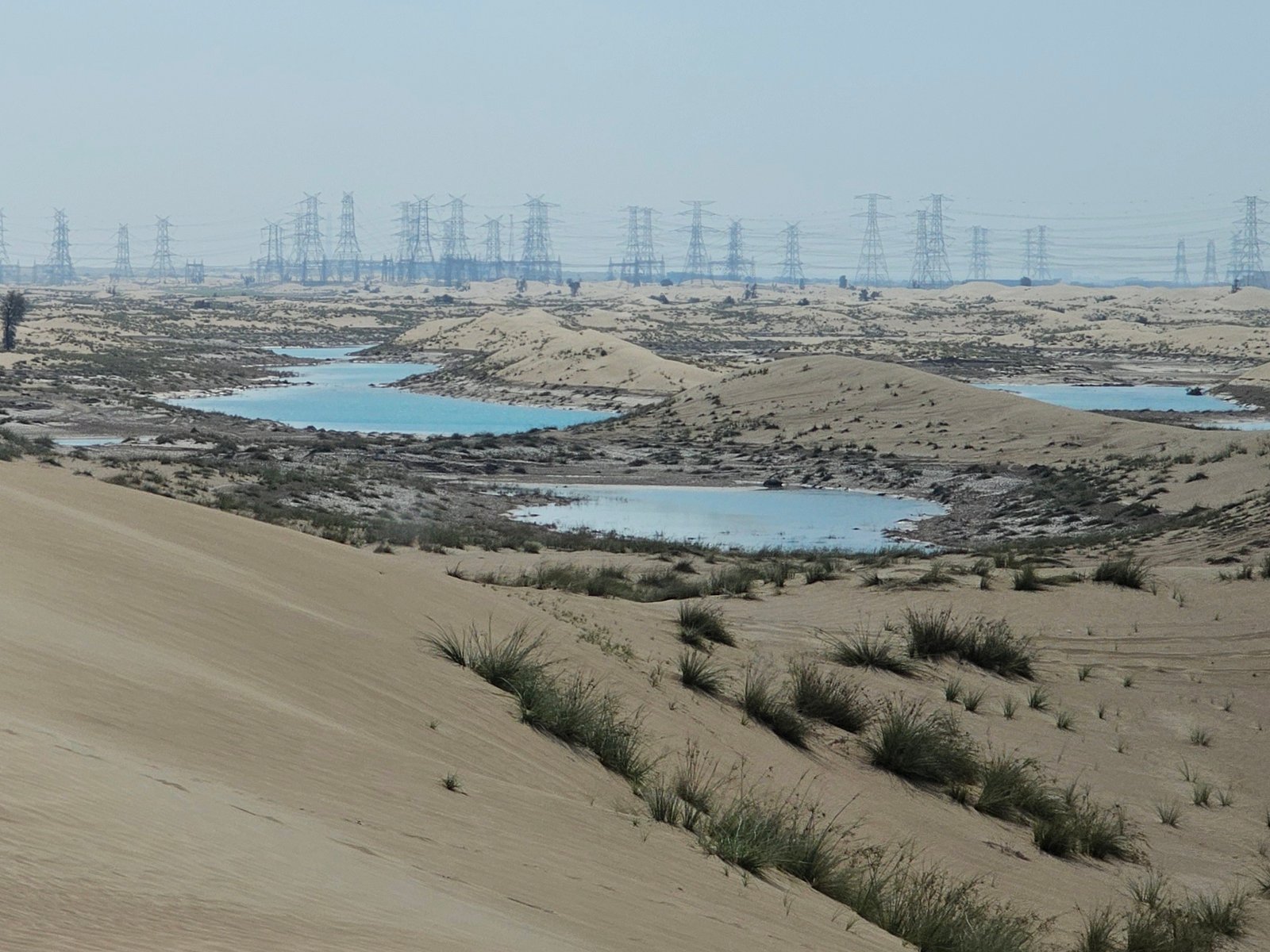 Rain: The Spark of Transformation (image credits: wikimedia)