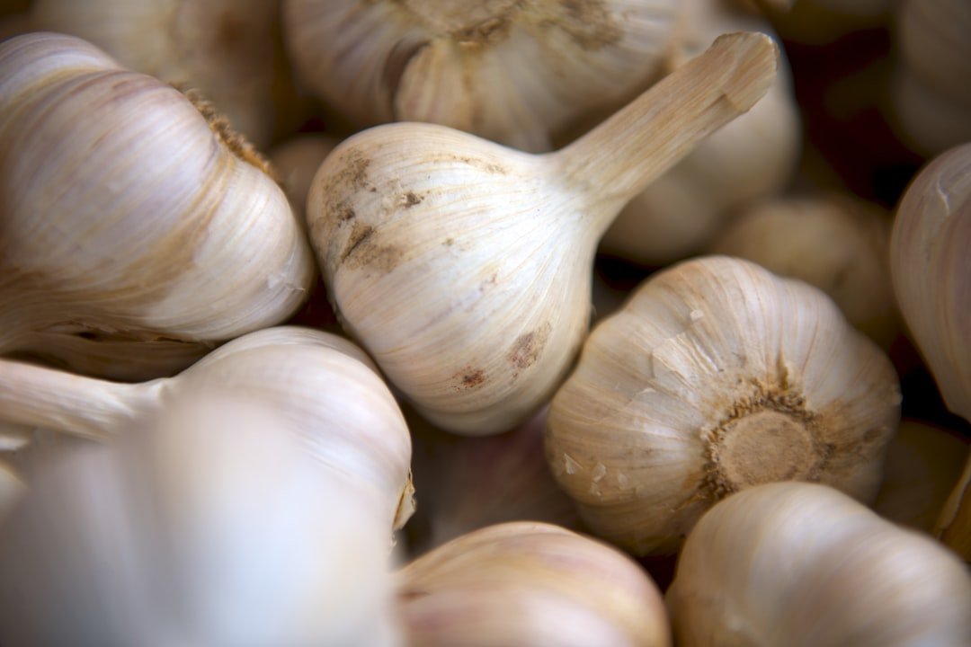Garlic: Witch’s Protection and Modern Antimicrobial (image credits: unsplash)