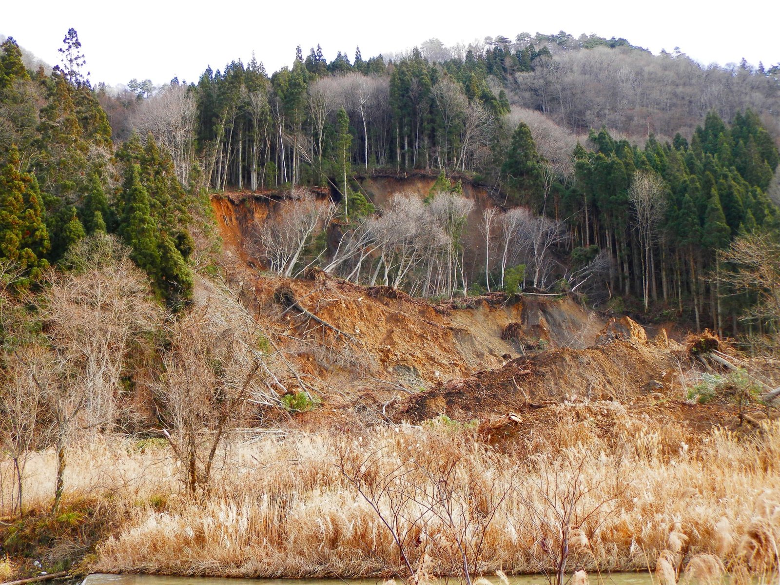 How Faults Affect Everyday Life (image credits: wikimedia)