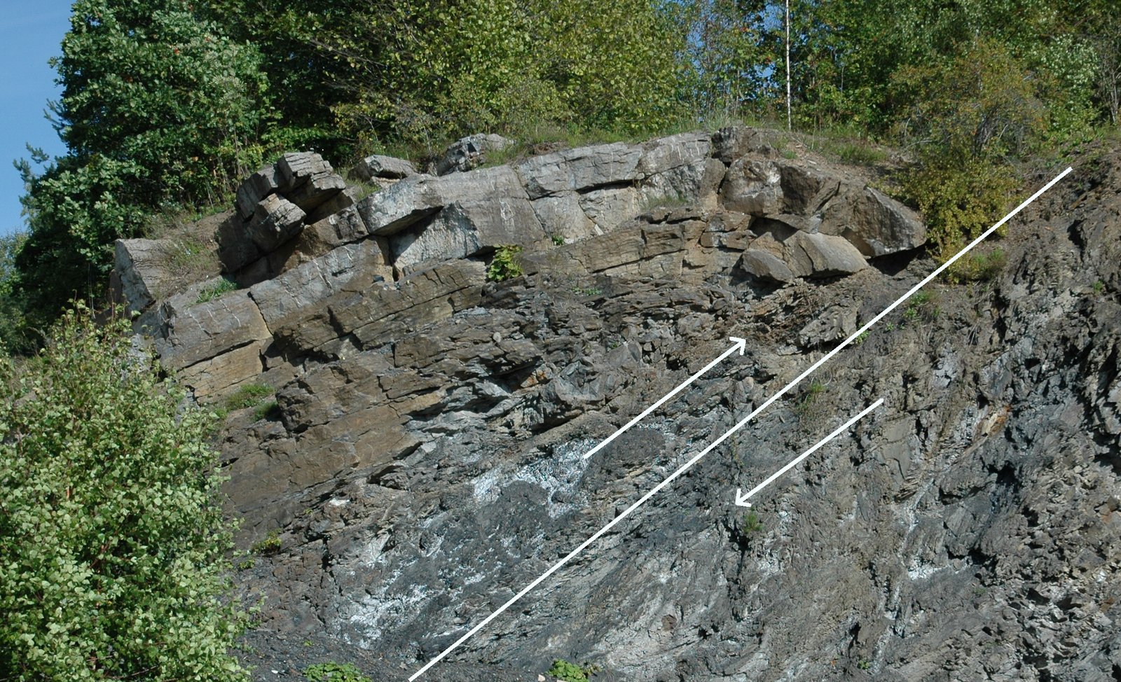 Wildlife, Faults, and Natural Habitats (image credits: wikimedia)