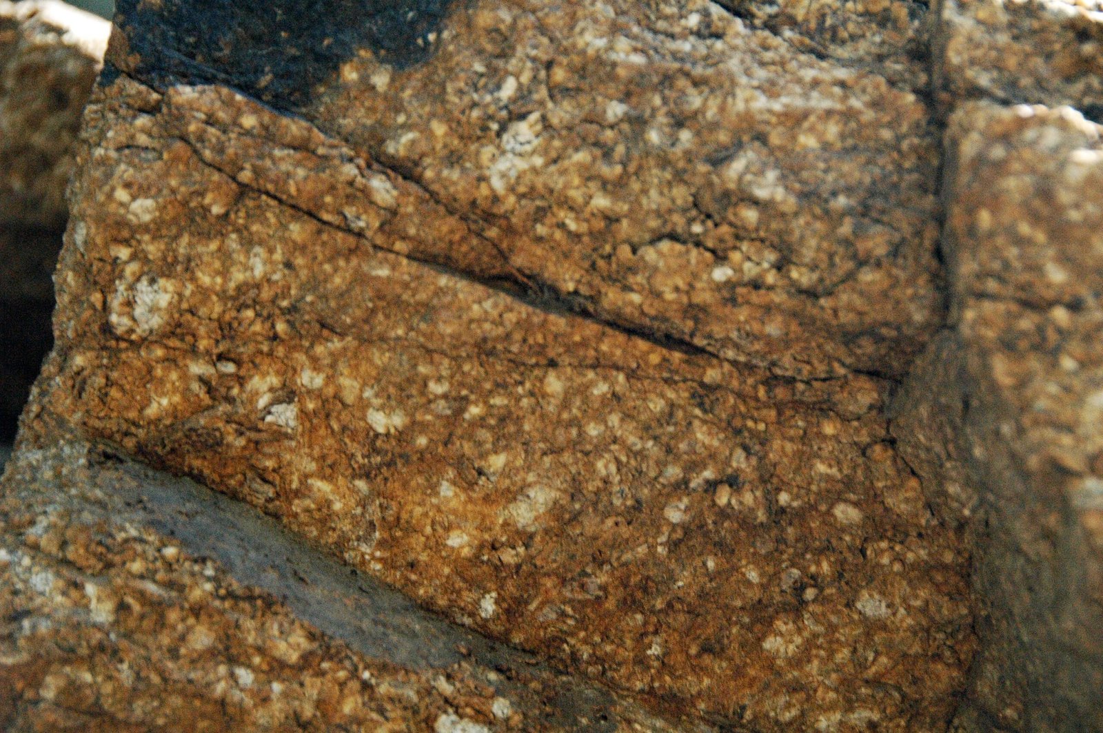 Tauranga’s Hidden Faults: What Lies Beneath the Beaches and Bays