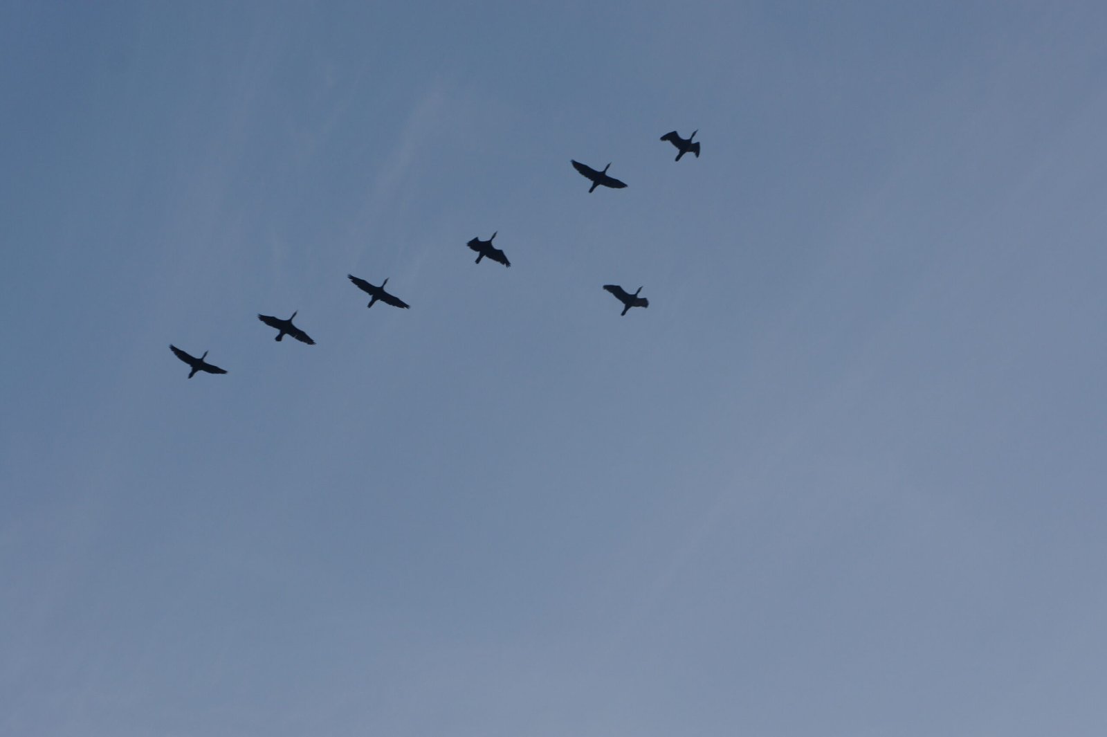 The Science Behind Formation Flying (image credits: wikimedia)