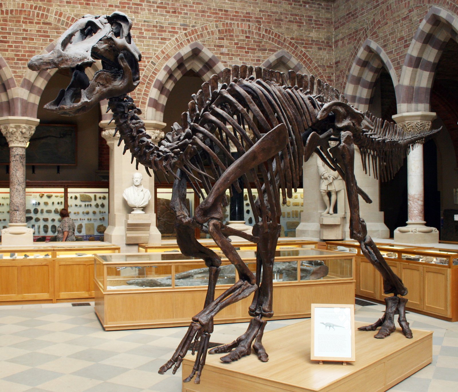 The Discovery of the Dinosaur
