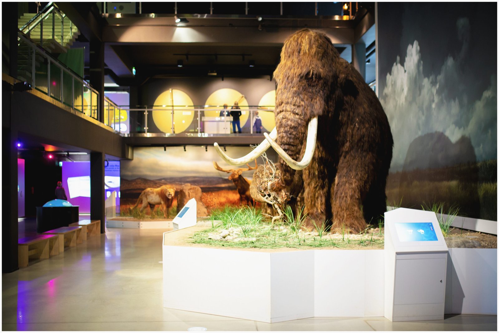 The Beijing Backyard: A Surprising Ice Age Habitat (image credits: wikimedia)