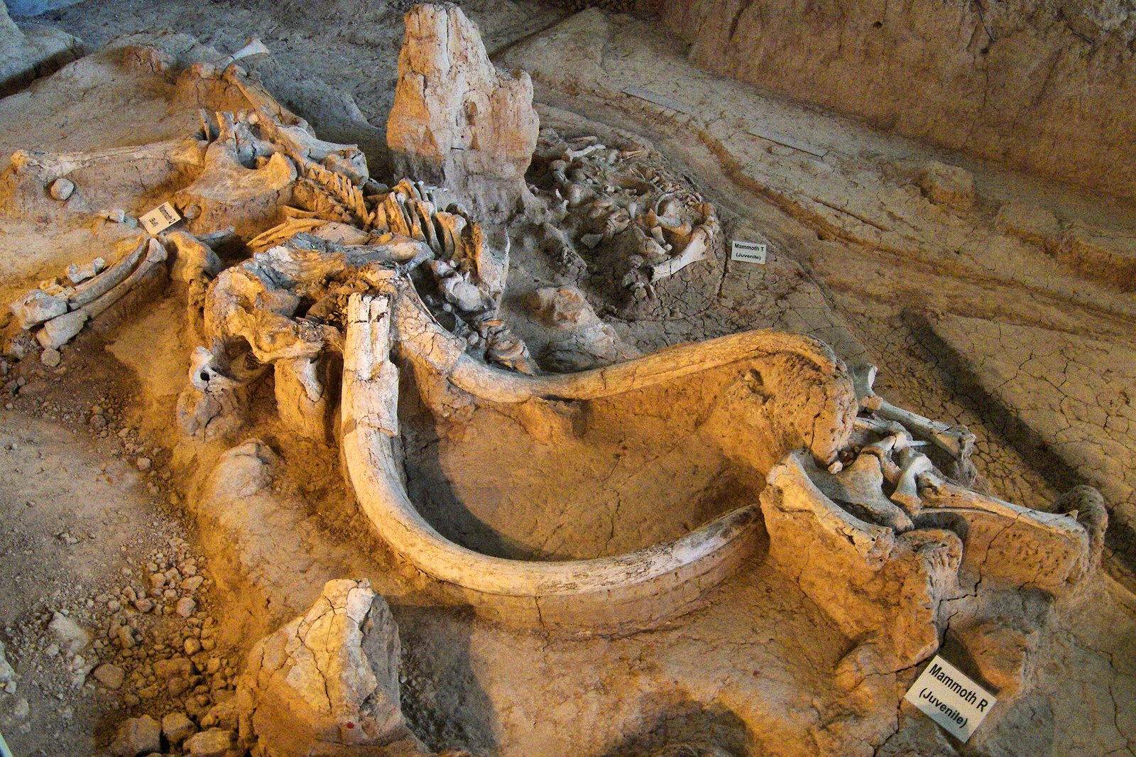 Modern Beijing and the Hidden Ice Age (image credits: wikimedia)