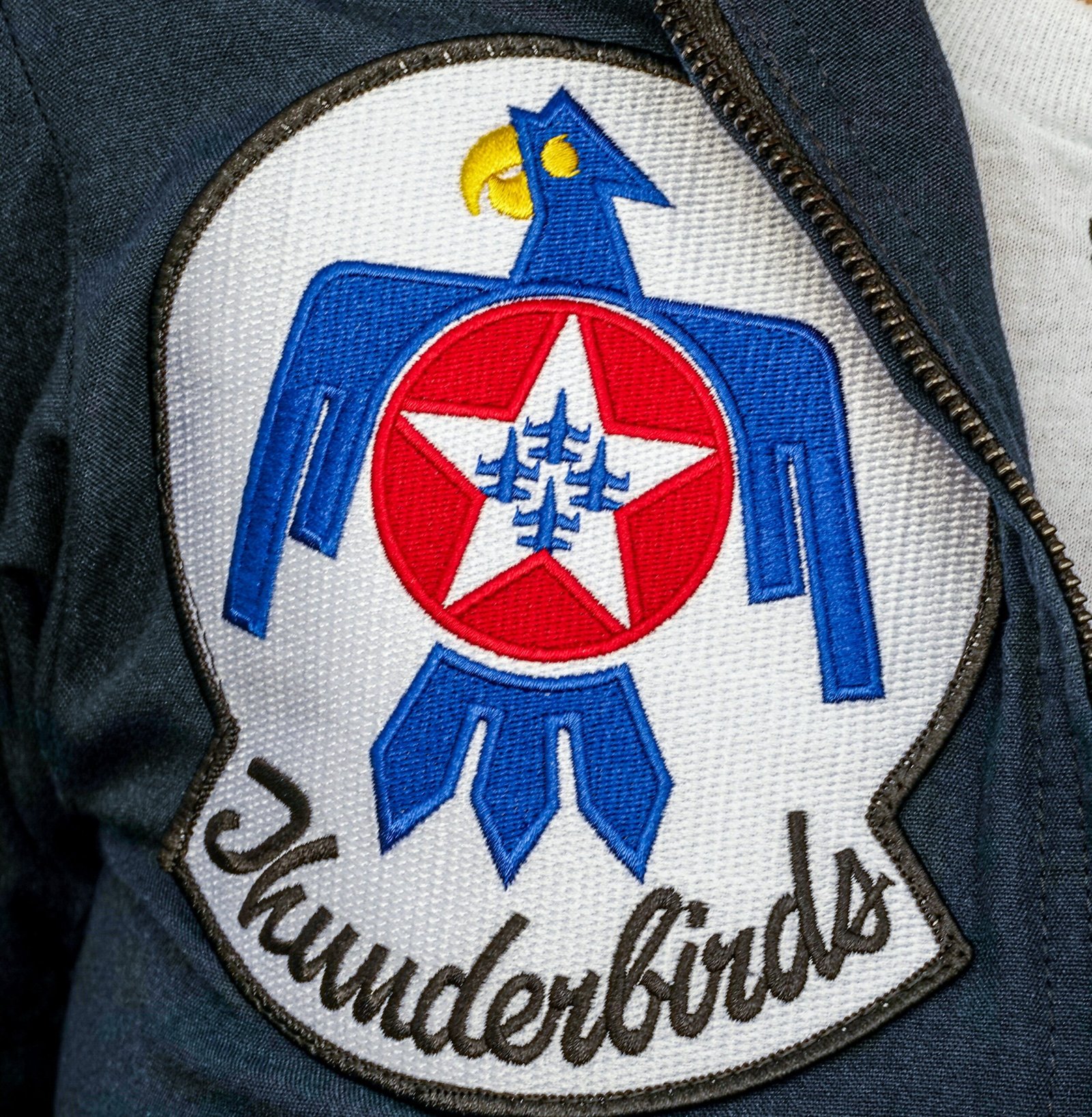 Thunderbird in Popular Culture (image credits: wikimedia)