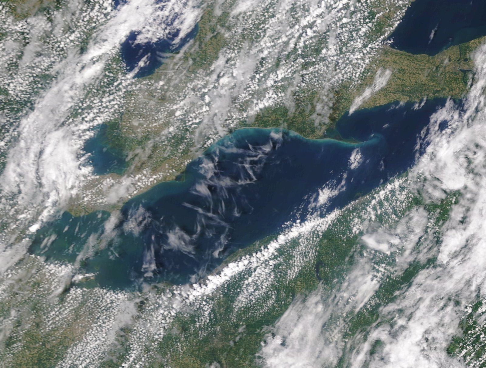 The Surprising Science of Hypoxia (image credits: wikimedia)