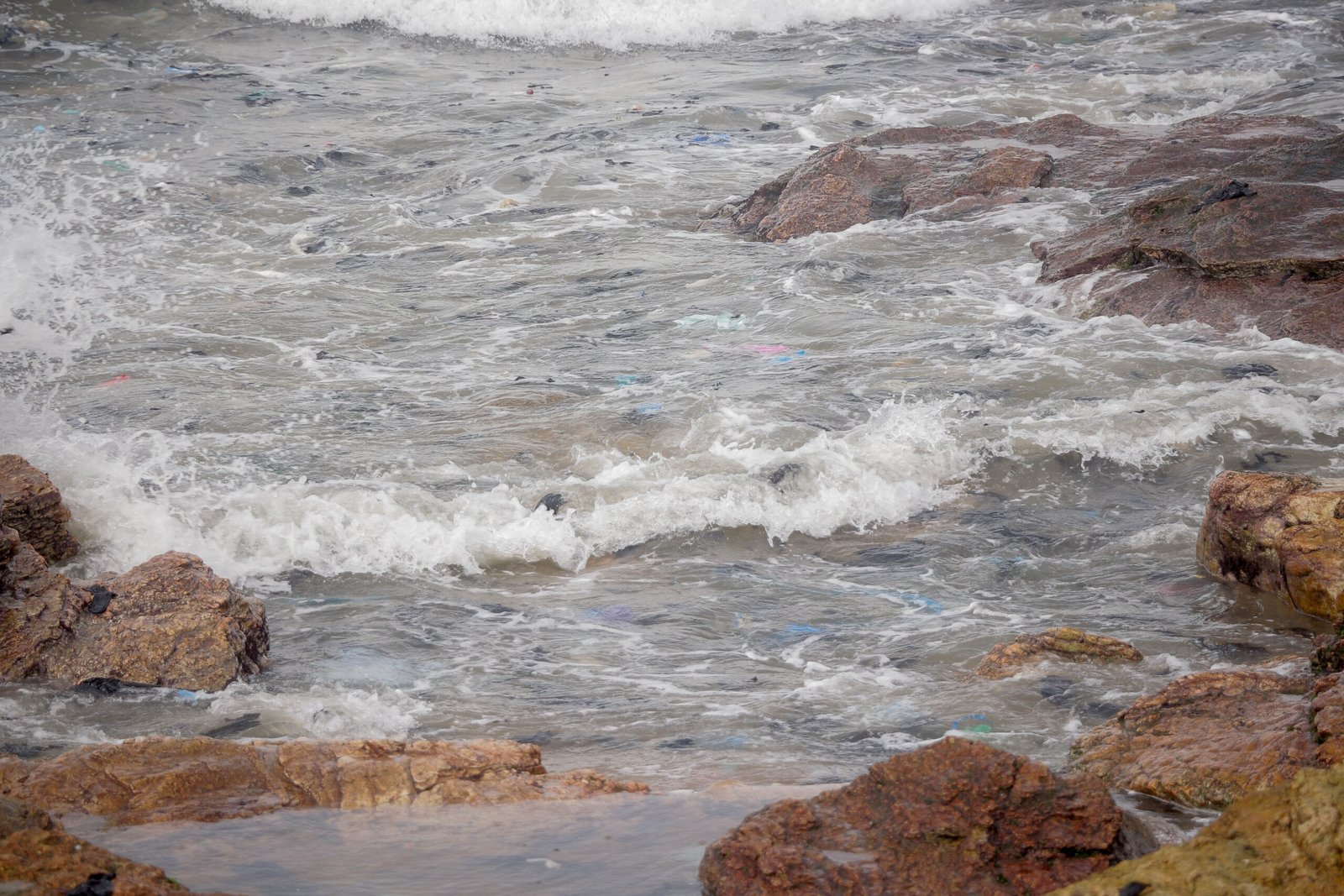 The Global Spread of Dead Zones (image credits: wikimedia)