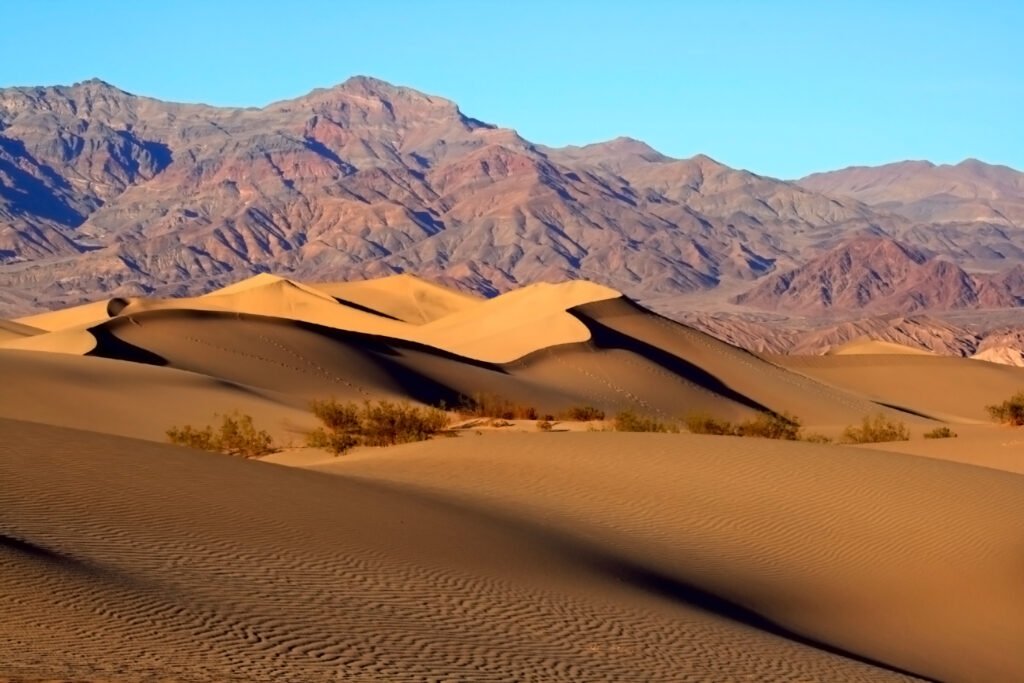 Desert Winds: Sculptors of Sand and Stone