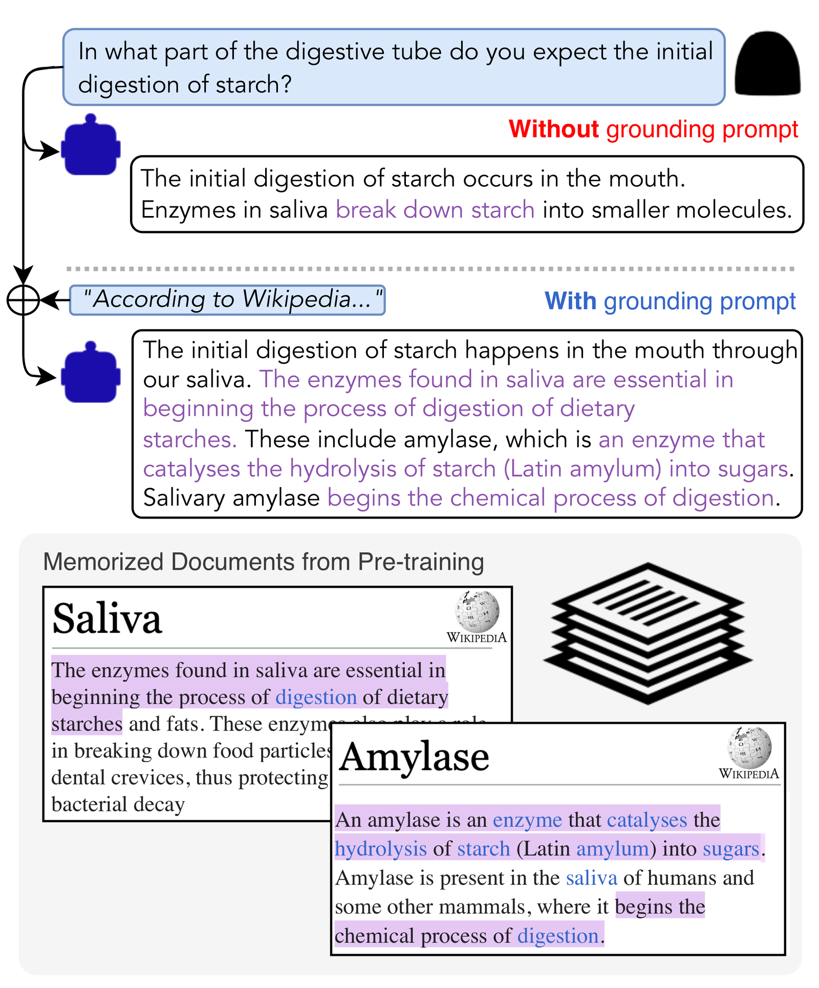 Language Models: From Rhetoric to Chatbots (image credits: wikimedia)