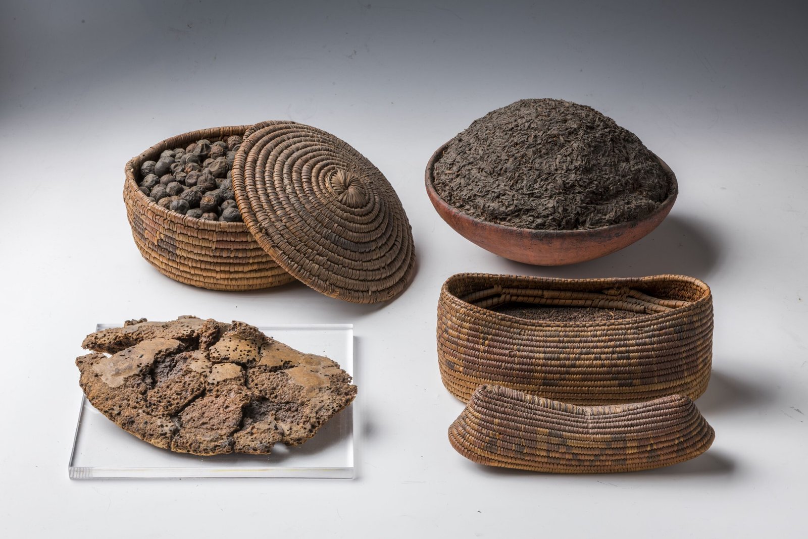 Ancient Plants: Seeds of the Past (image credits: wikimedia)