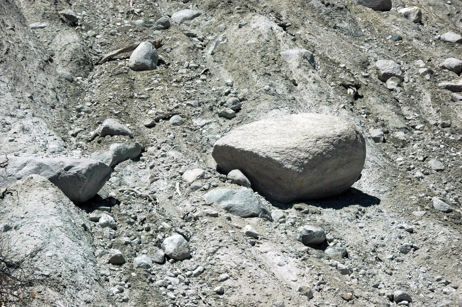 The Pleistocene Park Experiment (image credits: wikimedia)