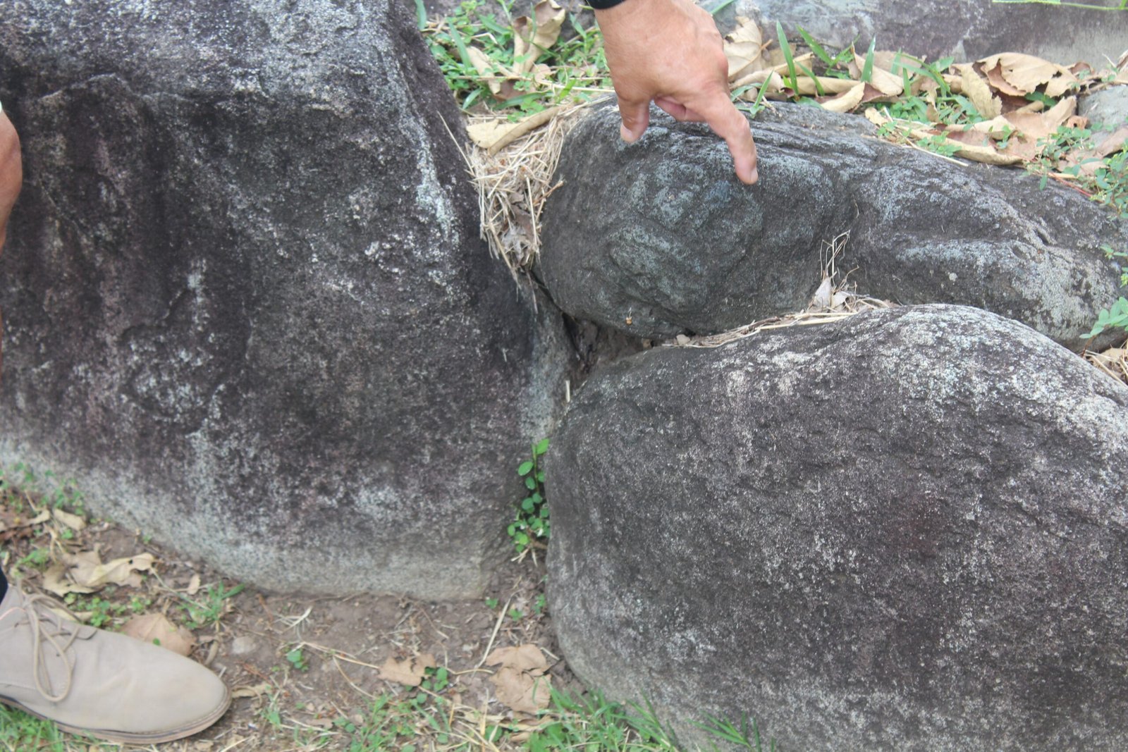 Legal Battles and the Fight for Recognition (image credits: wikimedia)