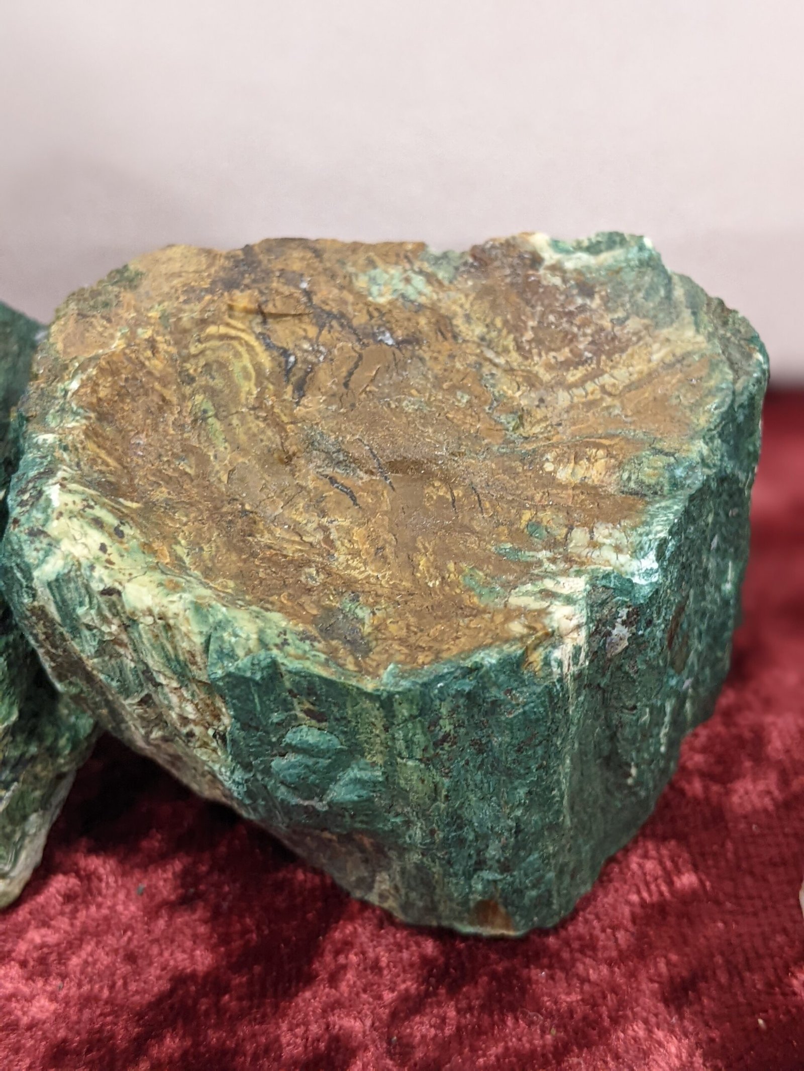 Hidden Clues in Petrified Wood (image credits: wikimedia)