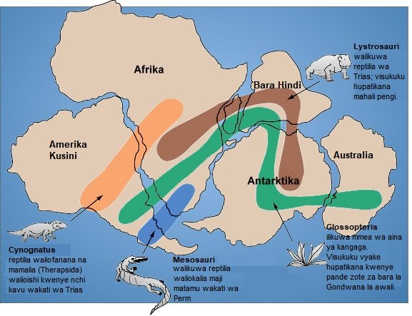 Gondwana’s Legacy: A Lost World Revealed (image credits: wikimedia)