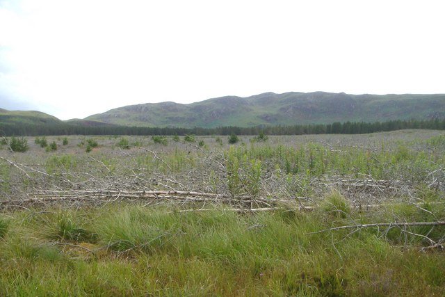 Restoring Peatlands: Scotland’s Hidden Climate Heroes (image credits: wikimedia)