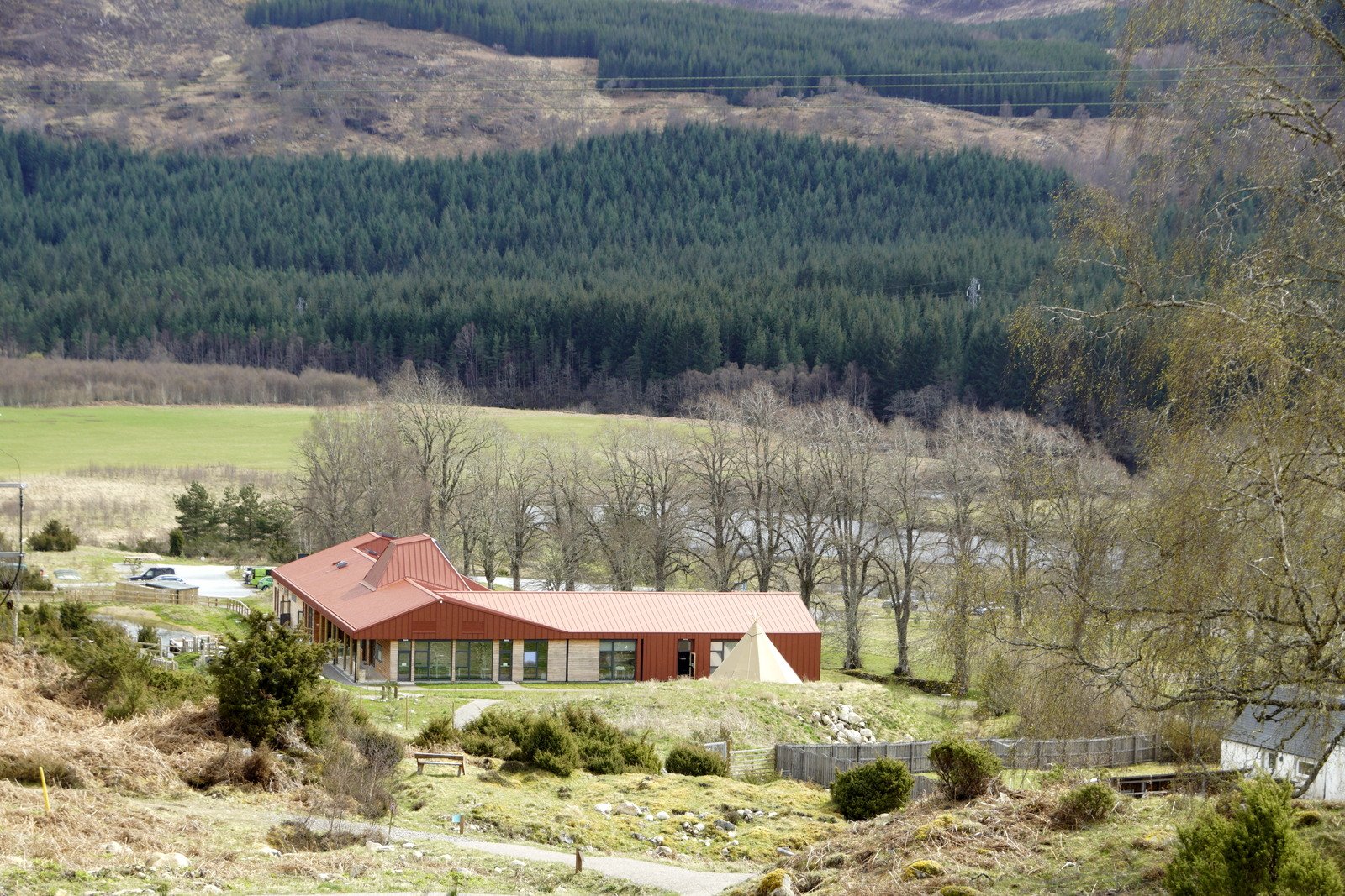 Economic Benefits: Rewilding as a Rural Lifeline (image credits: wikimedia)