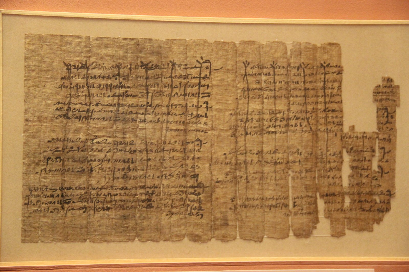 Honey in the Ebers and Edwin Smith Papyri (image credits: wikimedia)