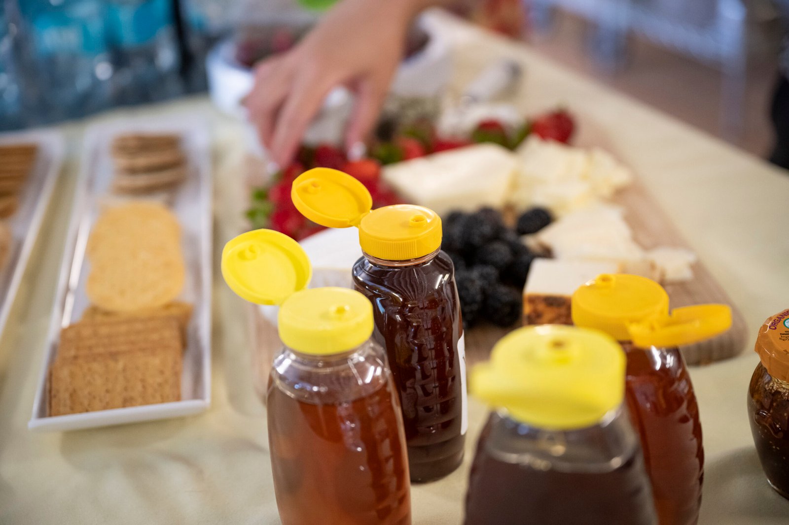 Honey’s Legacy in Modern Medicine (image credits: wikimedia)