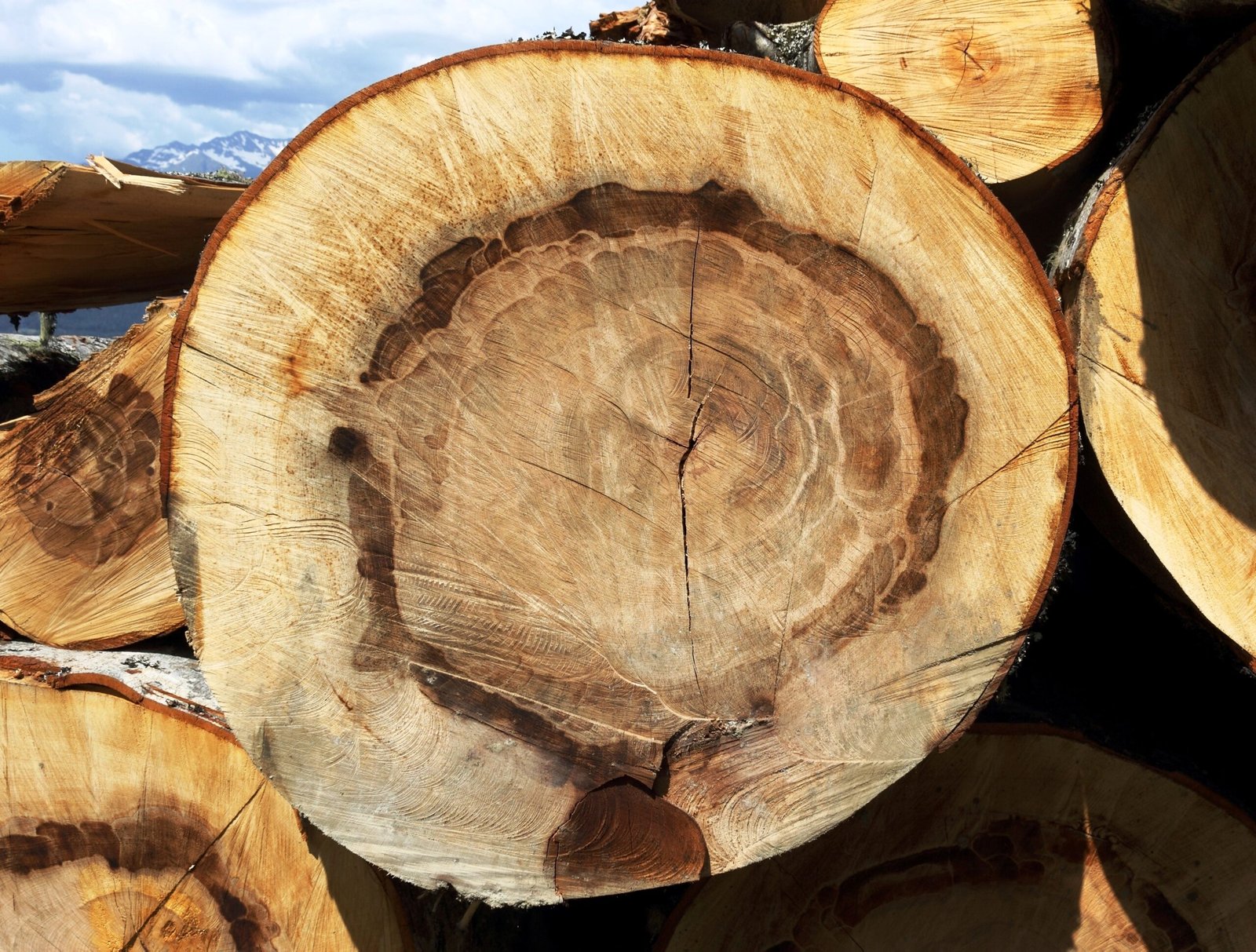 Hidden Messages: Micro-Rings and False Rings (image credits: wikimedia)