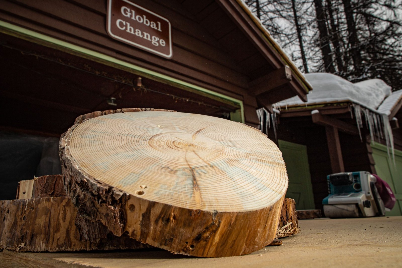 Tree Rings and the Future: A Warning and a Guide (image credits: wikimedia)