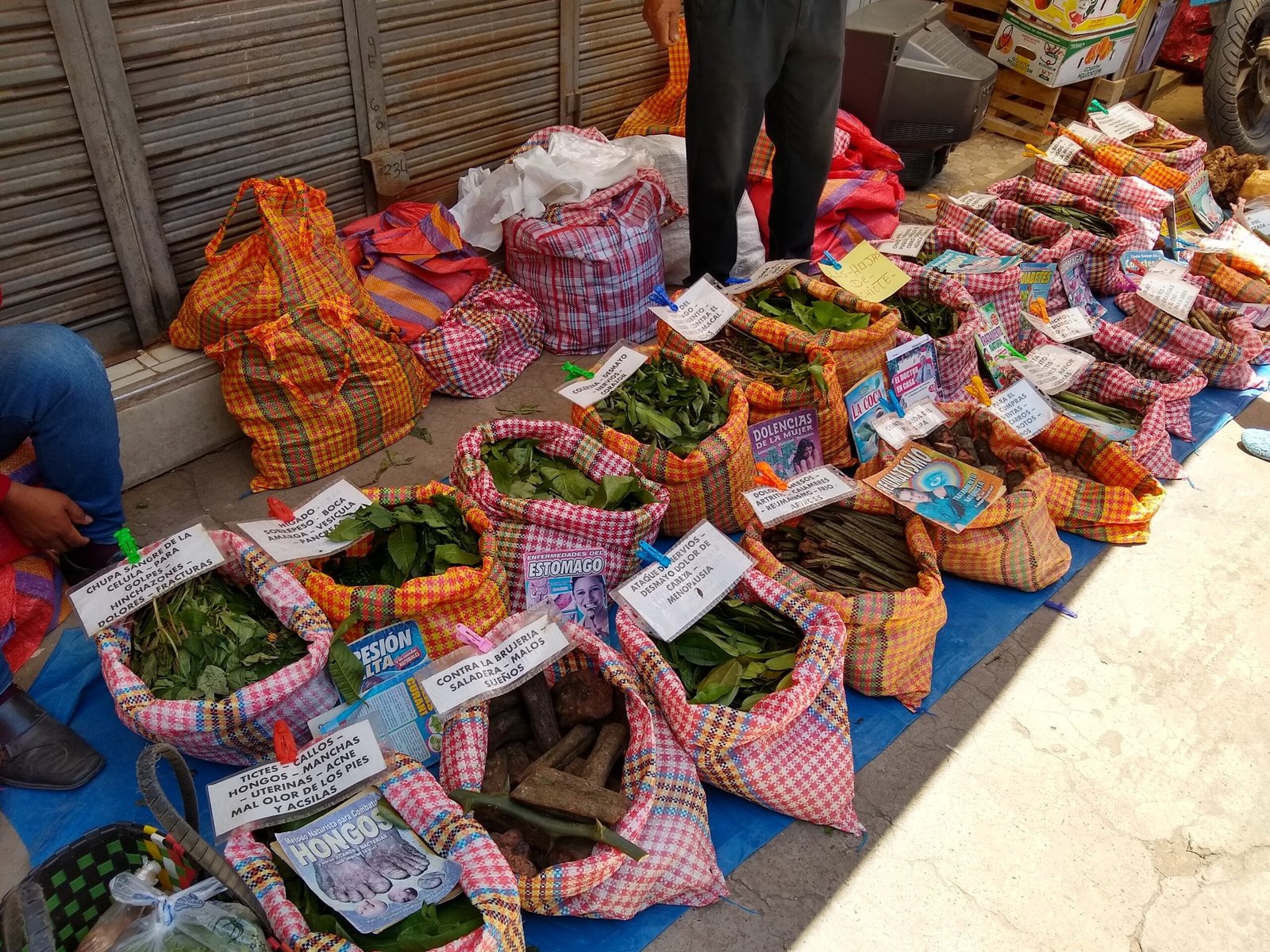 Folk Healing in the Age of Science (image credits: wikimedia)