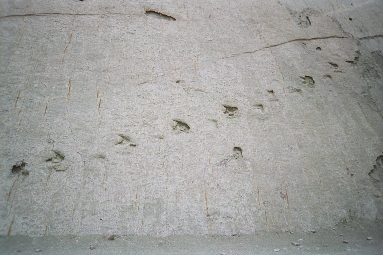 Tracking Ancient Climate and Environment (image credits: wikimedia)