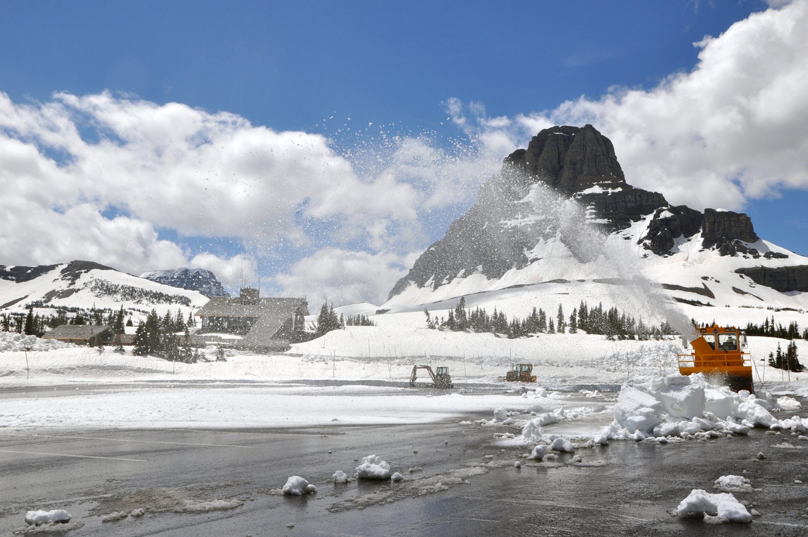 The Disappearing Giants: Glaciers in Retreat (image credits: wikimedia)
