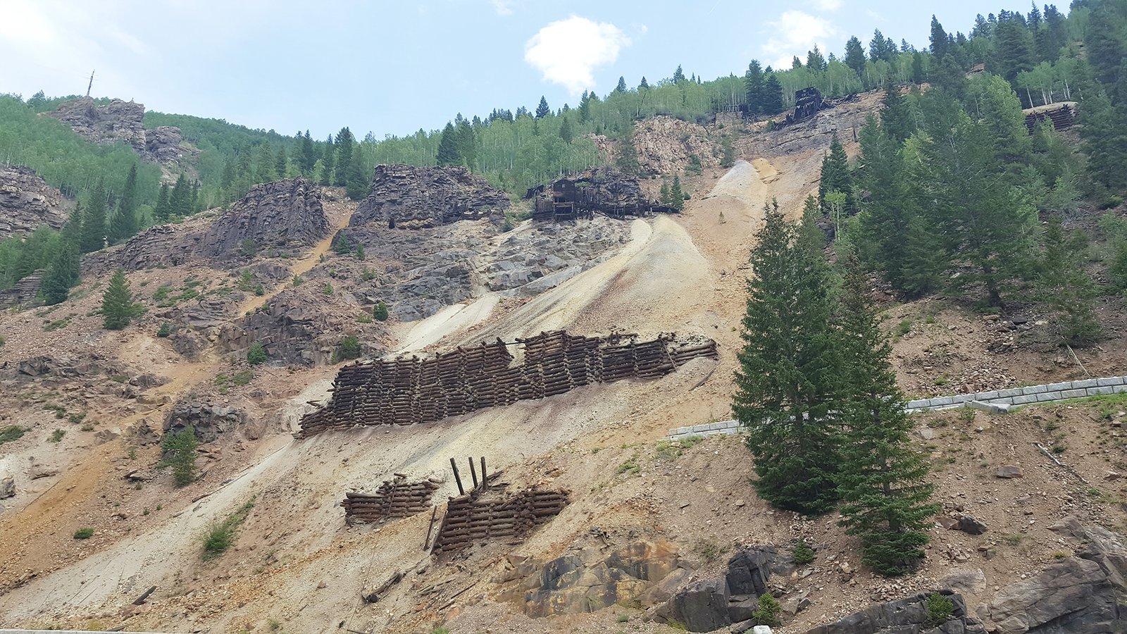 The Poisoned Earth: Surviving in Toxic Environments (image credits: wikimedia)