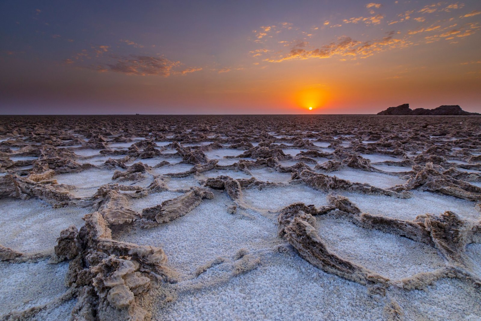 Salt Flats and Salty Lakes: Halophiles’ Salty Success (image credits: wikimedia)