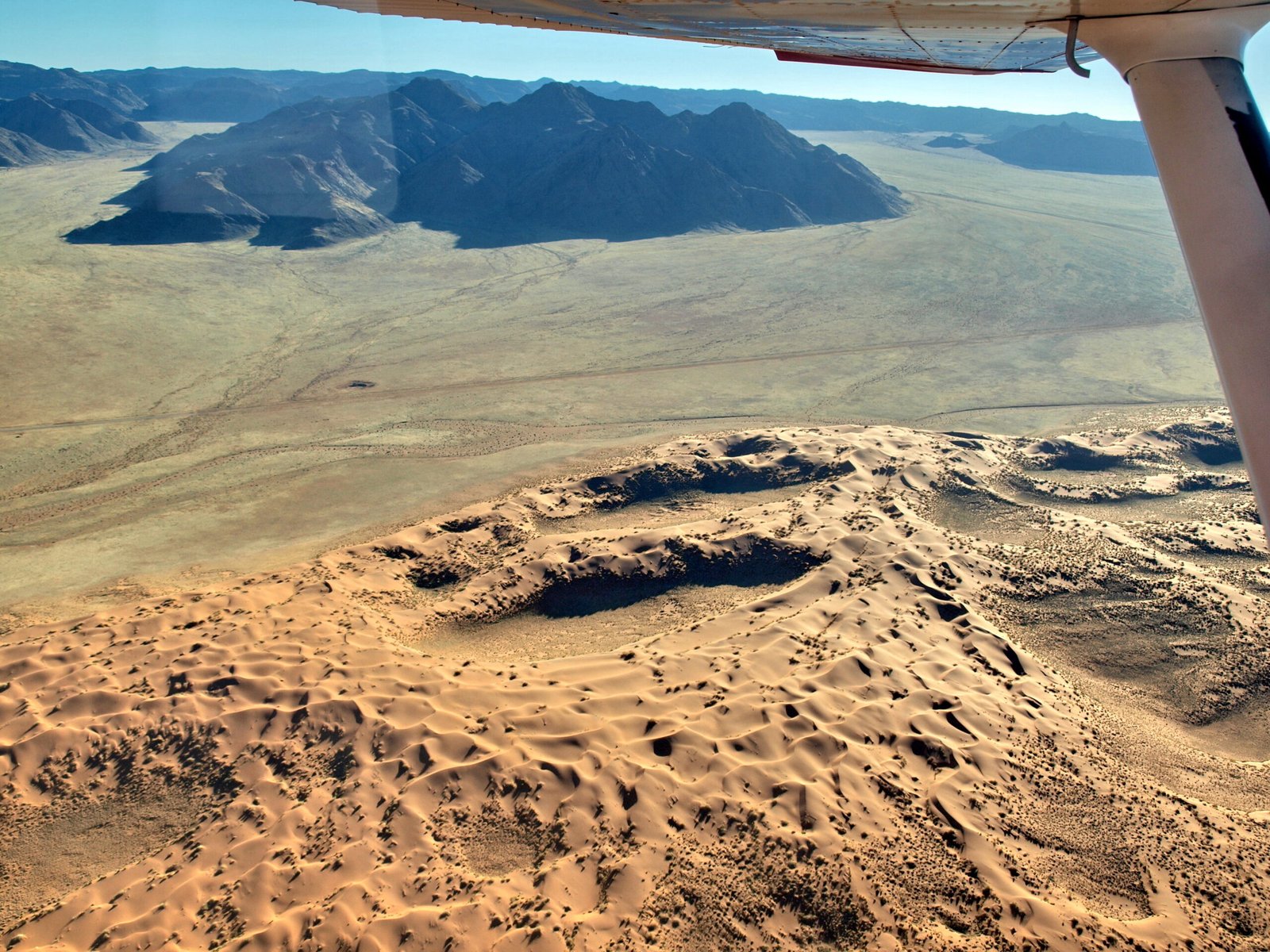 Adapting to Extreme Dryness: The Secrets of the Namib Desert (image credits: wikimedia)