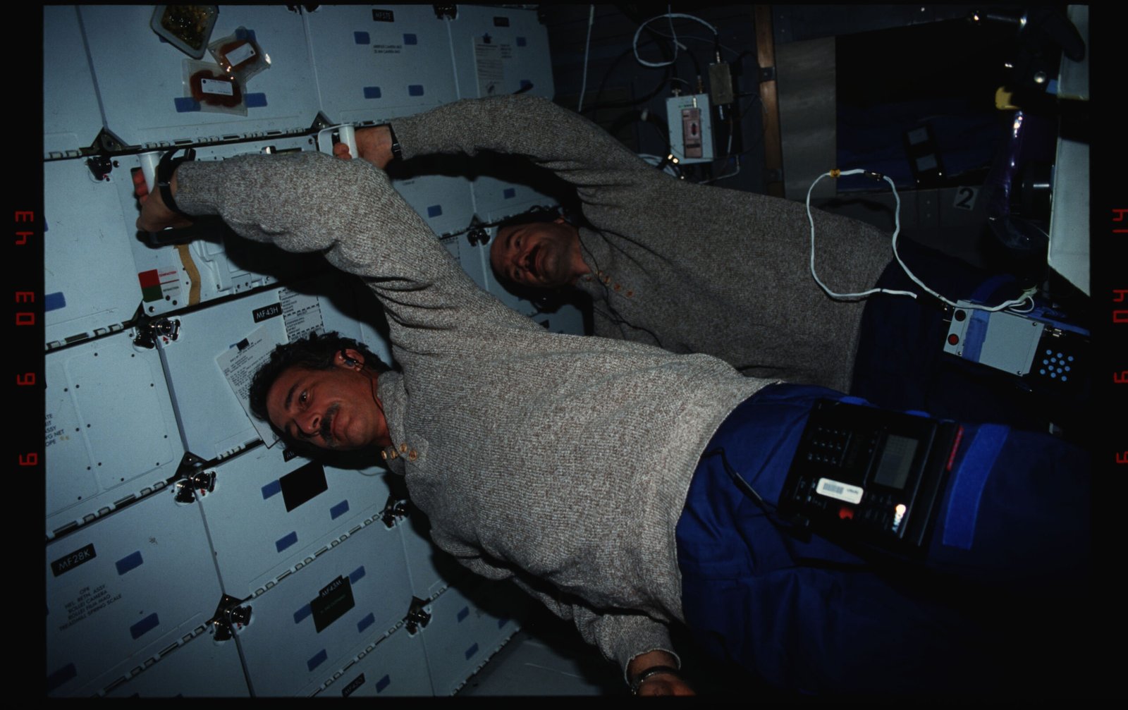 Height Gains: The Perks of Spinal Expansion (image credits: wikimedia)