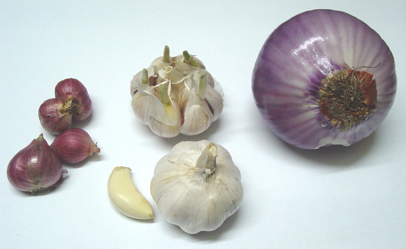 Garlic and Onion: More Than Kitchen Staples (image credits: wikimedia)