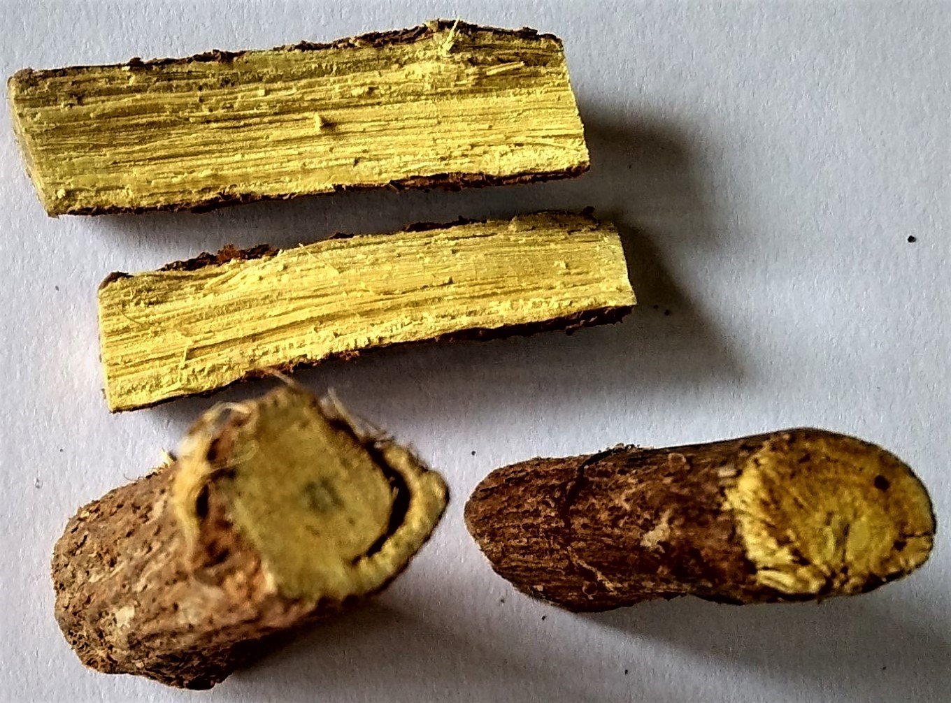Licorice Root: Sweet Relief for Sore Throats (image credits: wikimedia)