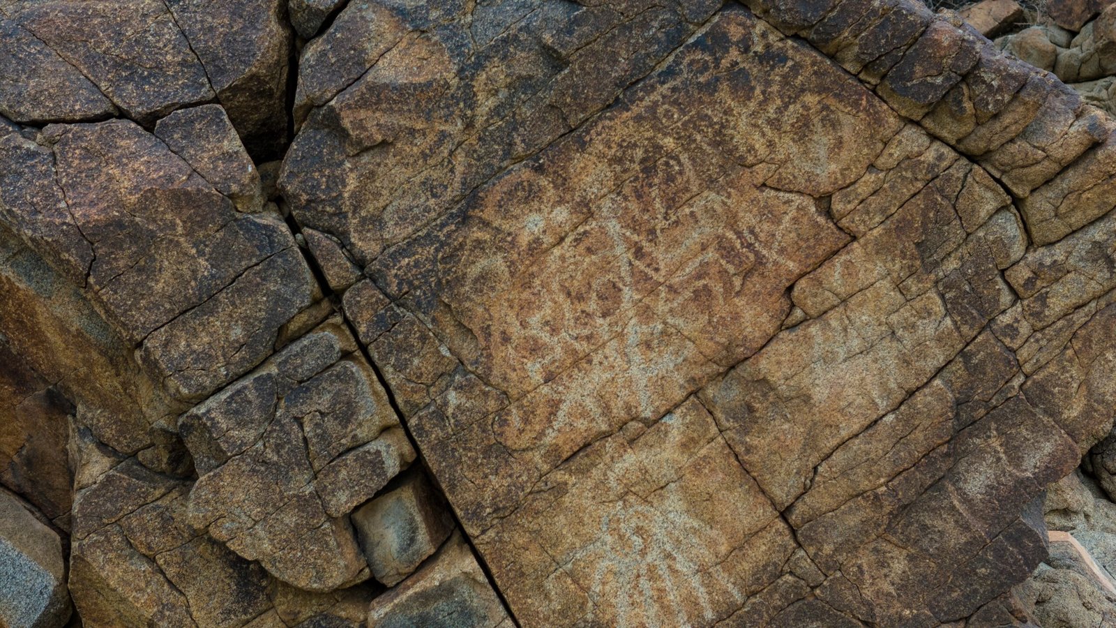 Prehistoric Life: Lost Species and Ecosystems (image credits: wikimedia)