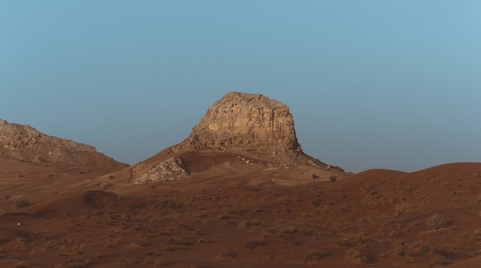 Fossils and the Faintest Clues (image credits: wikimedia)