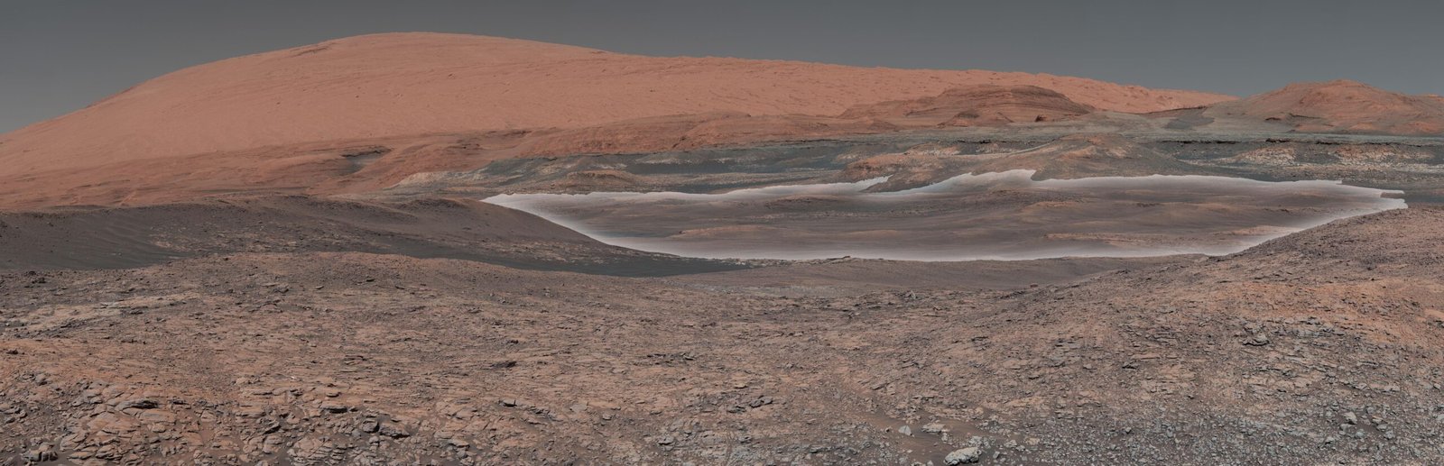 Human Curiosity: The Drive to Know (image credits: wikimedia)