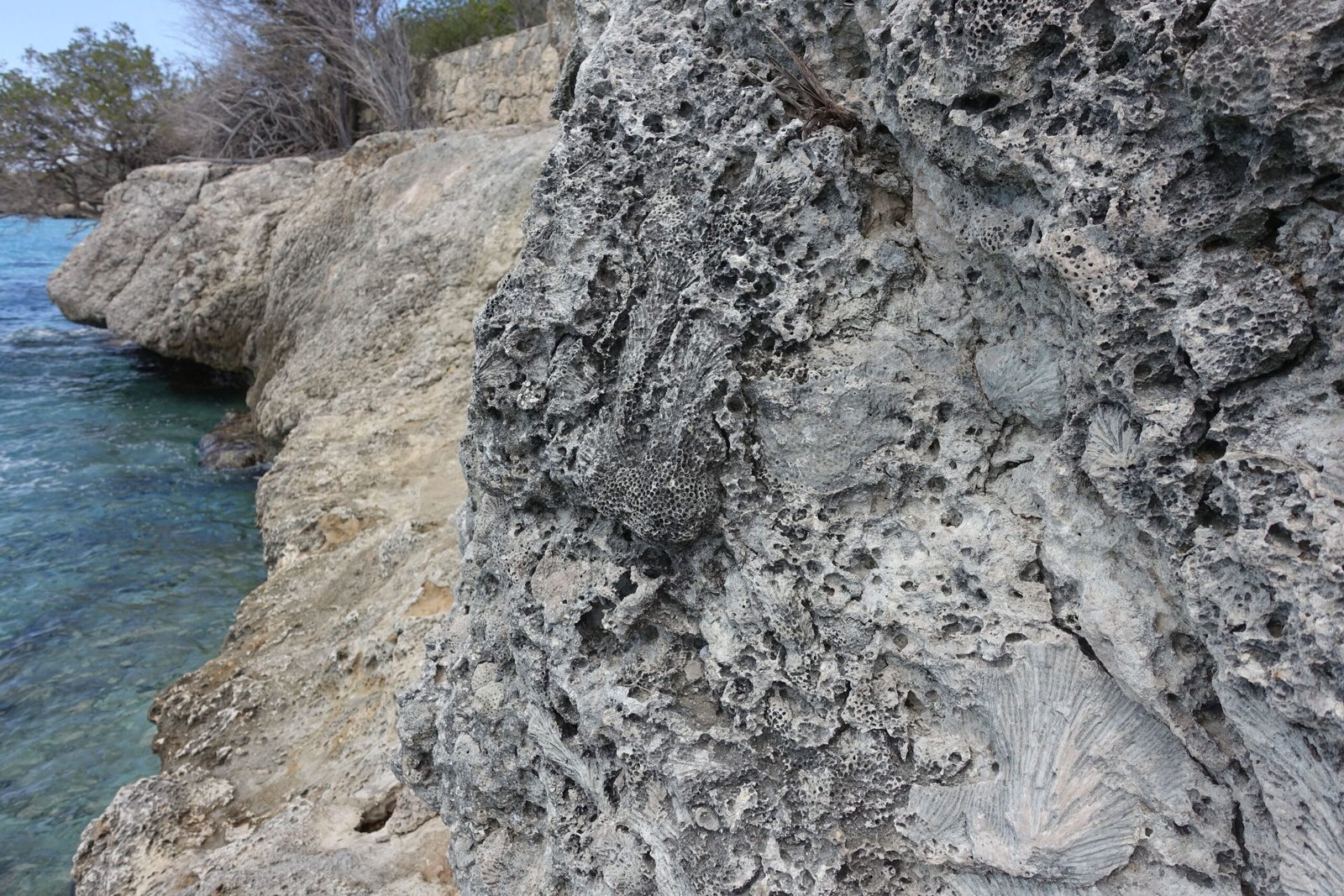 Sea Level Changes Written in Stone (image credits: wikimedia)