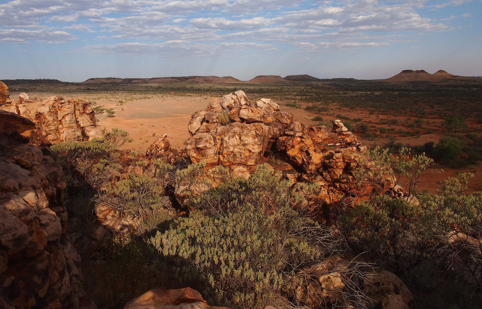 The Secretive Habitat of the Inland Taipan (image credits: wikimedia)