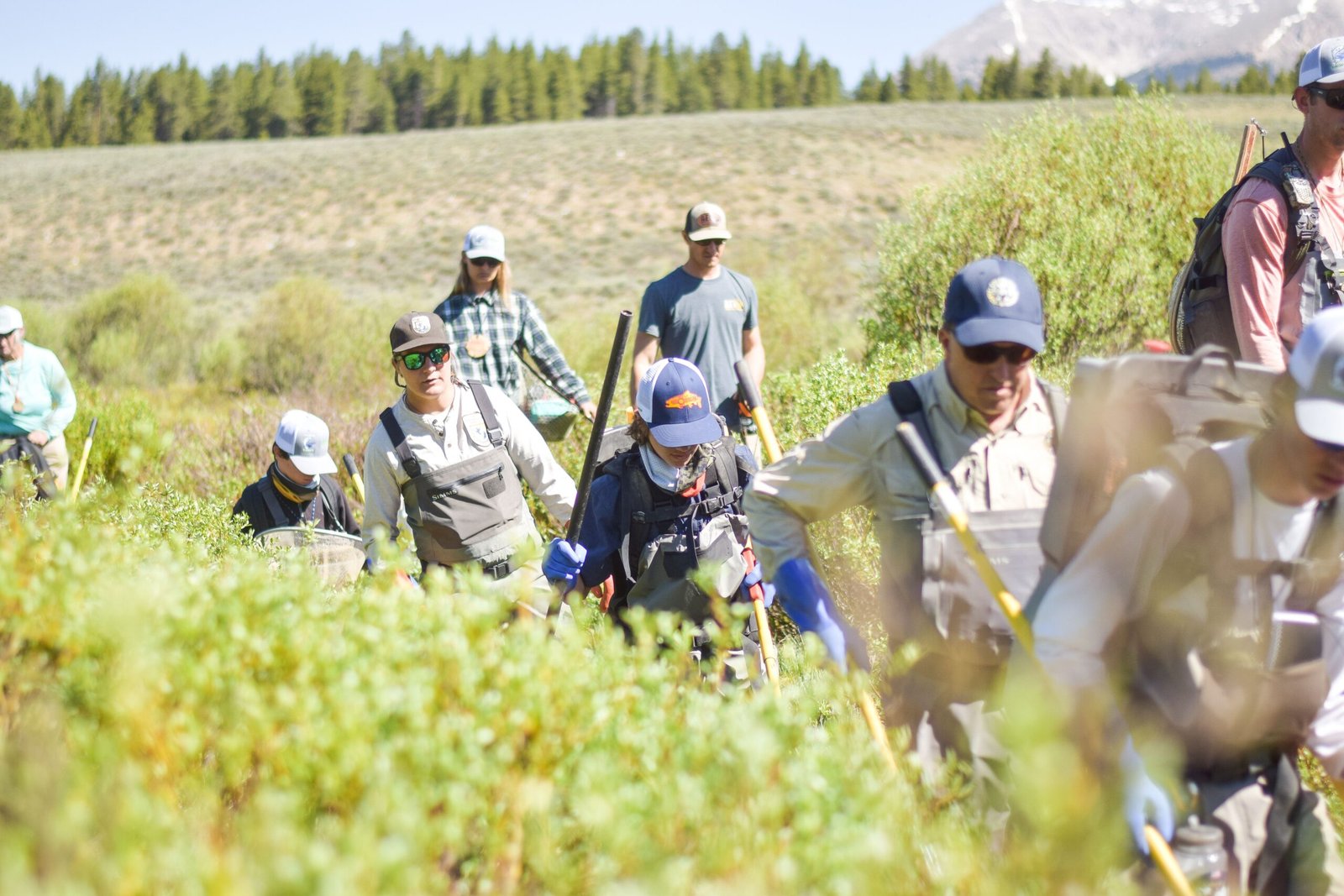 Youth, Education, and a New Generation of Wildlife Stewards (image credits: wikimedia)