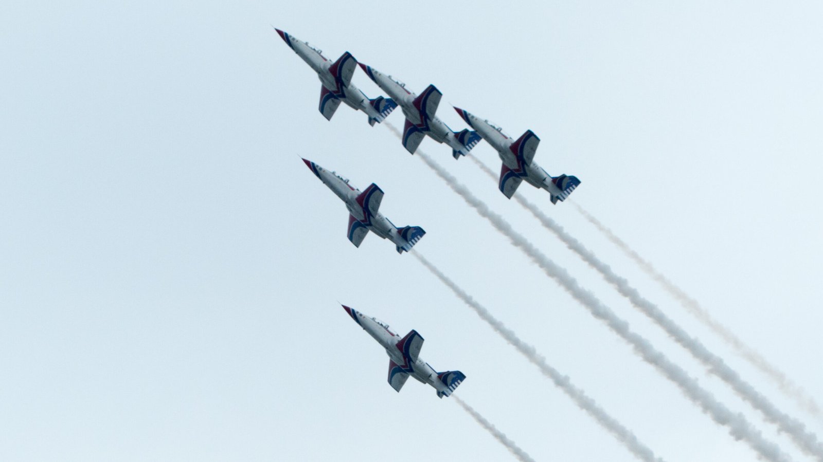 From Bird Wings to Airplane Wings (image credits: wikimedia)